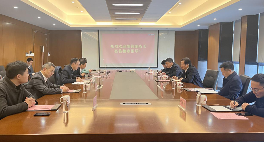 浙江省副省长胡伟莅临德意考察指导工作